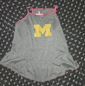 Grey Dog Dress with Yellow University Of Michigan Logo and Pink Trim